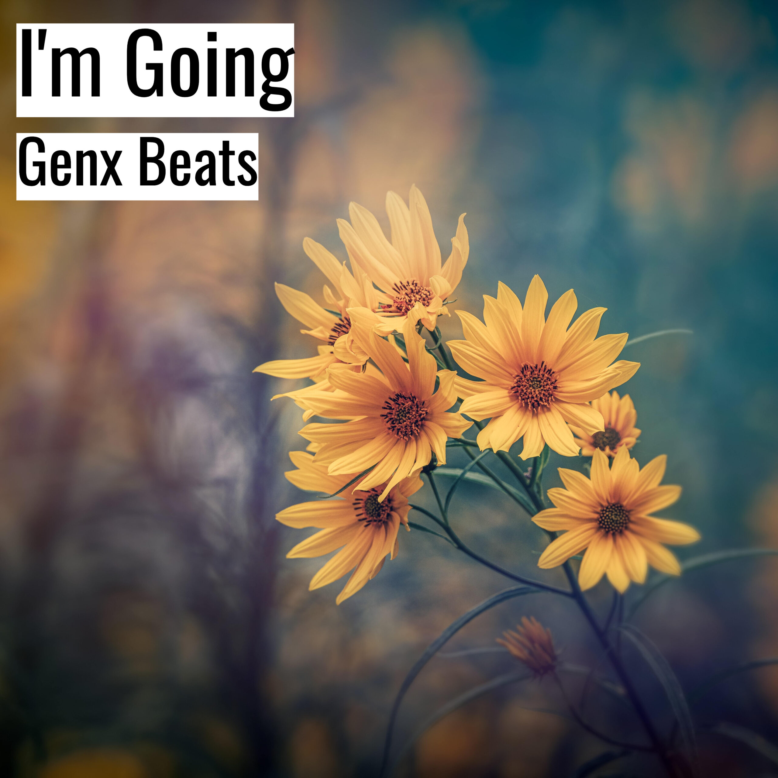 [エモいヒップホップビート] I’m Going – Genx Beats