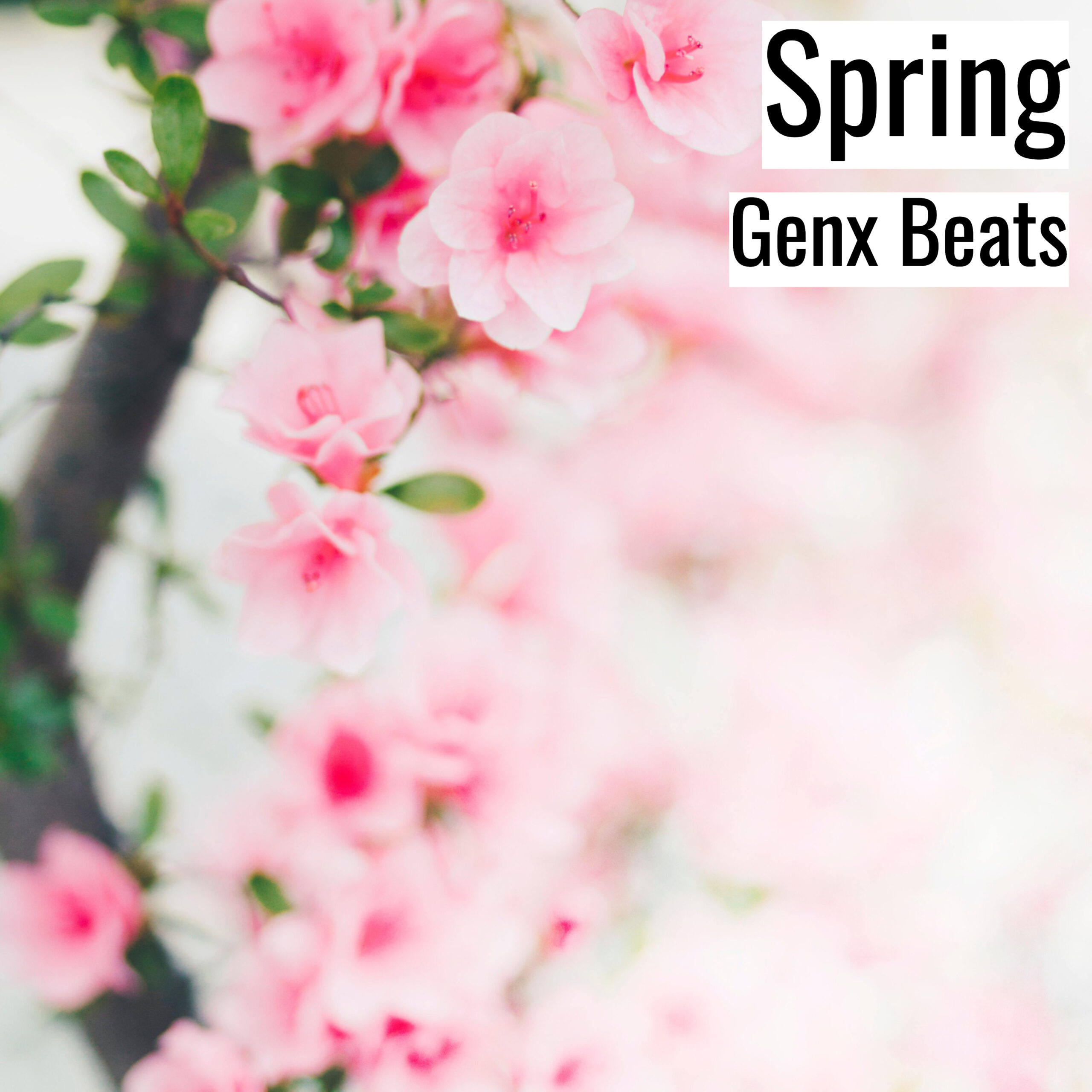 [エモいヒップホップビート] Spring – Genx Beats